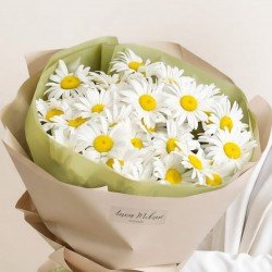 «35 ромашек»