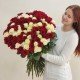 «Хельга»