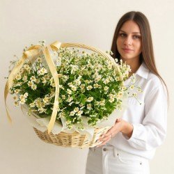 «Люси»